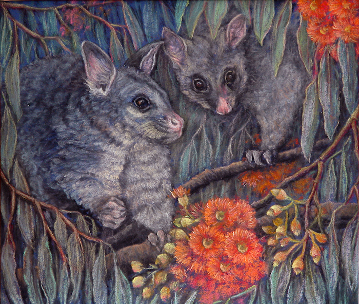 Surprise appearance.jpg